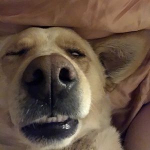 Meet your Posher, Bradley